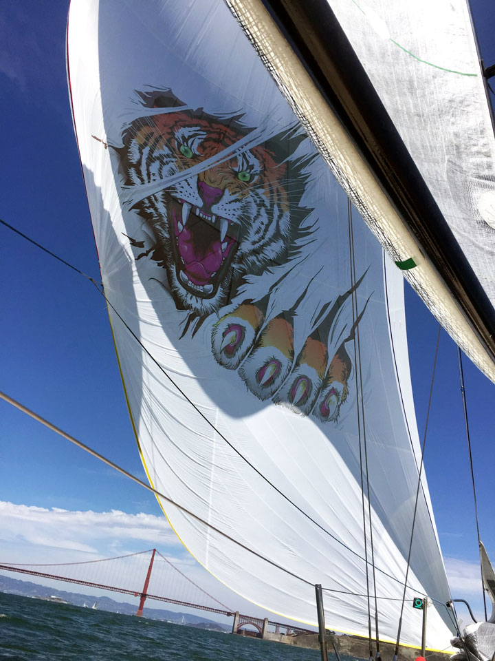 logo on sailboat